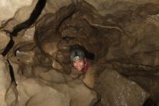 Thumbnail of photo from this article